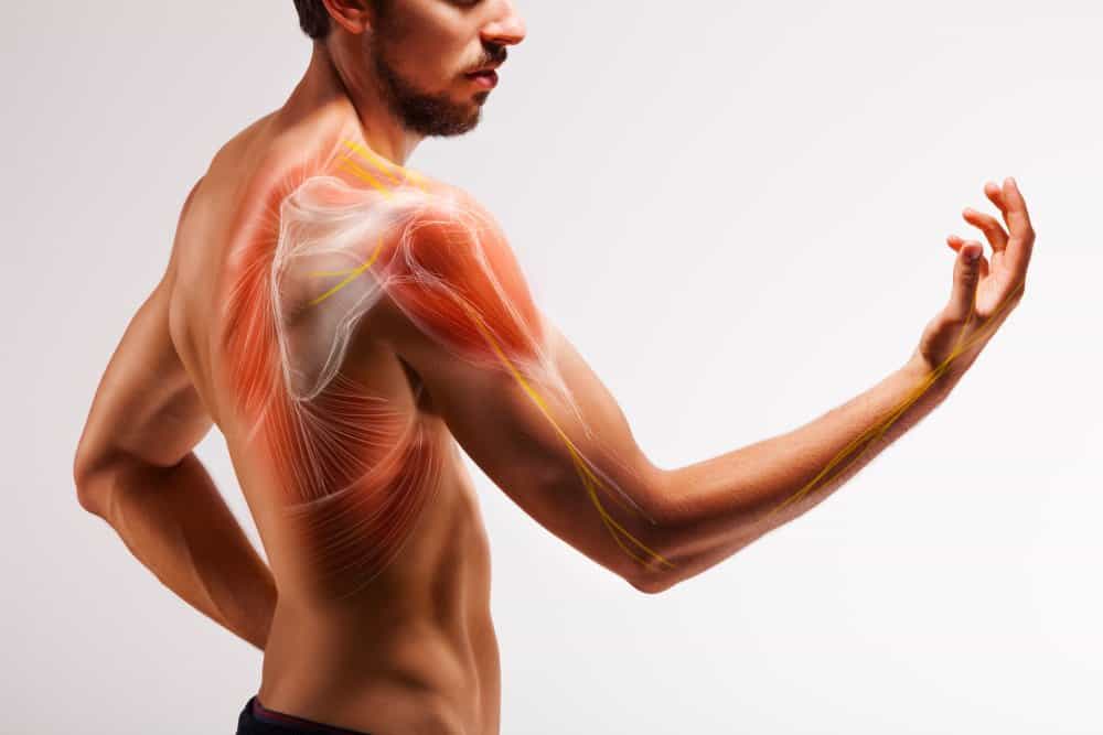 Shoulder Tendonitis Pain